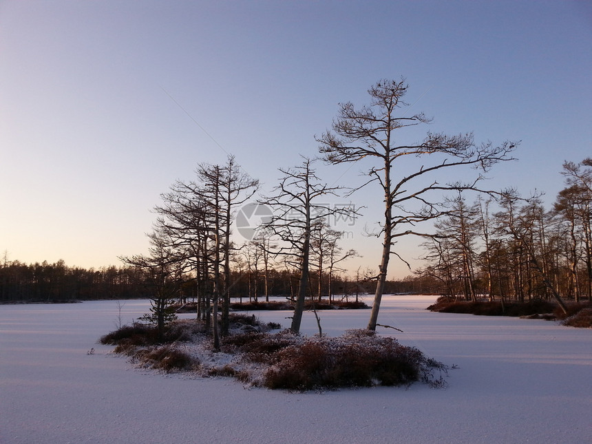 冬天在拉脱维亚CenaMoorlandCenaMoorland美丽的雪和冰冻沼泽湖与小树覆盖的岛屿由寒冬太阳照亮自然旅游图片