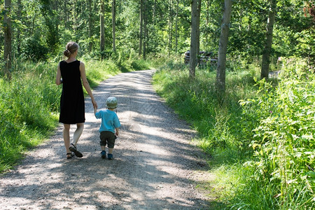 婴儿母亲和童在森林中行走母亲和儿童在夏季森林中行走木头太阳图片