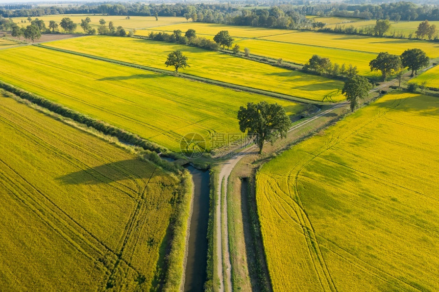 意大利北部稻田空中观察意大利北部环境全景乡村的图片