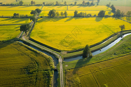 意大利北部稻田空中观察意大利北部生长庄稼粮食图片
