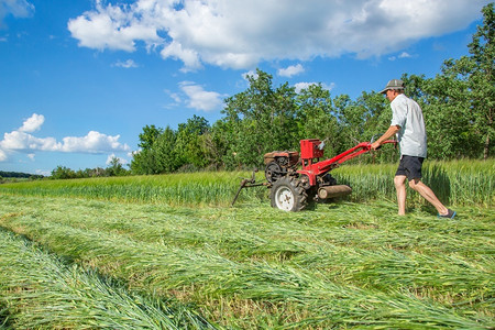 景观男人机器在农业场工作一辆红色拖拉机切割草地在农业场工作图片