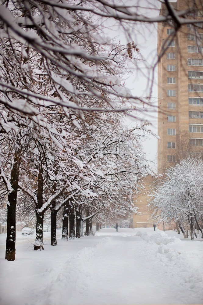 暴风雪后的城市冬季景观雪地背暴风后的城市冬季景观天气一种寒冷的图片
