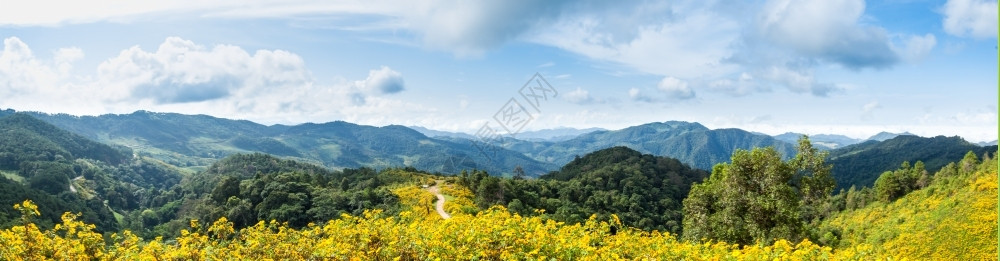 草原高地土全景山花朵脉和天空与蓝连成一团图片