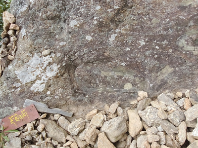 亚洲水石头不丹岩上的脚印图片