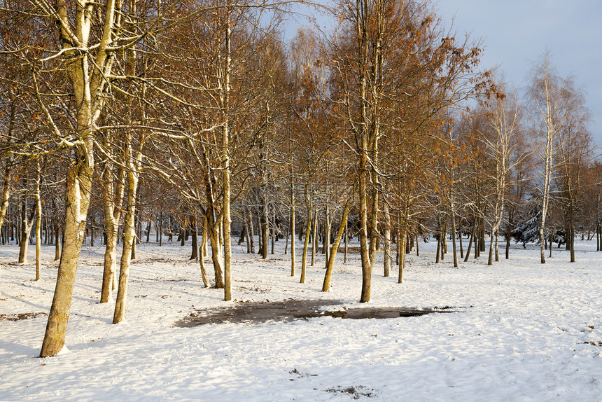 自然冬季雪在下后出现冬季的雪流在天飘动季枝条户外图片