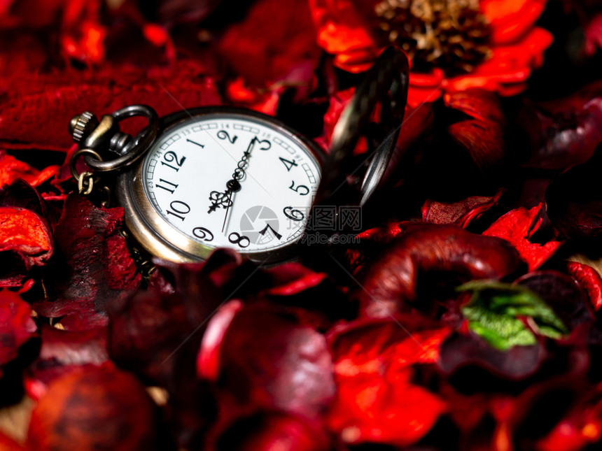 古董质地桌子金旧手表放在木桌上红干鲜花和香味图片
