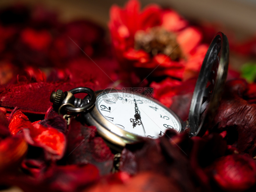 香气复古的金旧手表放在木桌上红干鲜花和香味最后期限图片
