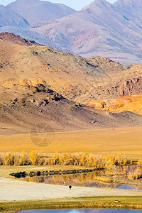 多色的新鲜经过阿尔泰山和间峡谷的自然景观图片