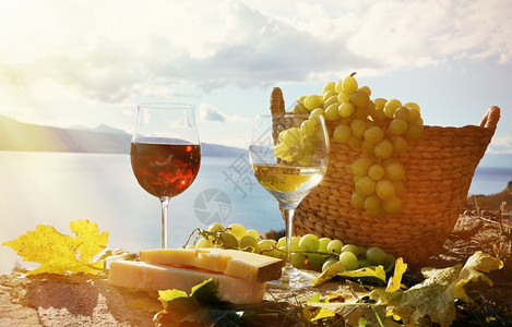 生长瓶子束瑞士拉沃克斯地区葡萄园露台两杯酒奶酪和瑞士图片