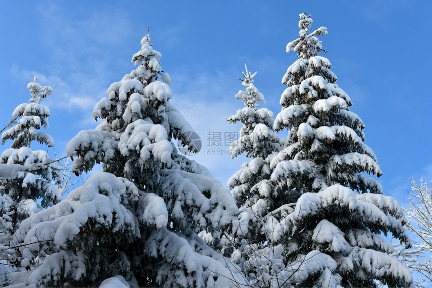 冬季雪景风光图片