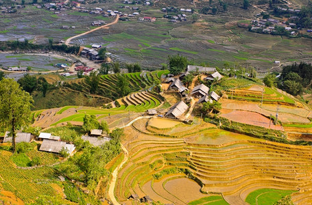 种植园户外山越南萨帕的稻田梯和Hmong少数民族村图片