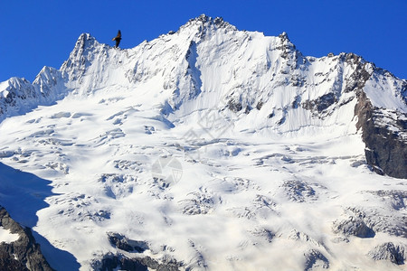 下雪悬崖高加索山脉的美丽风景图象与高加索山脉的相貌爬坡道图片