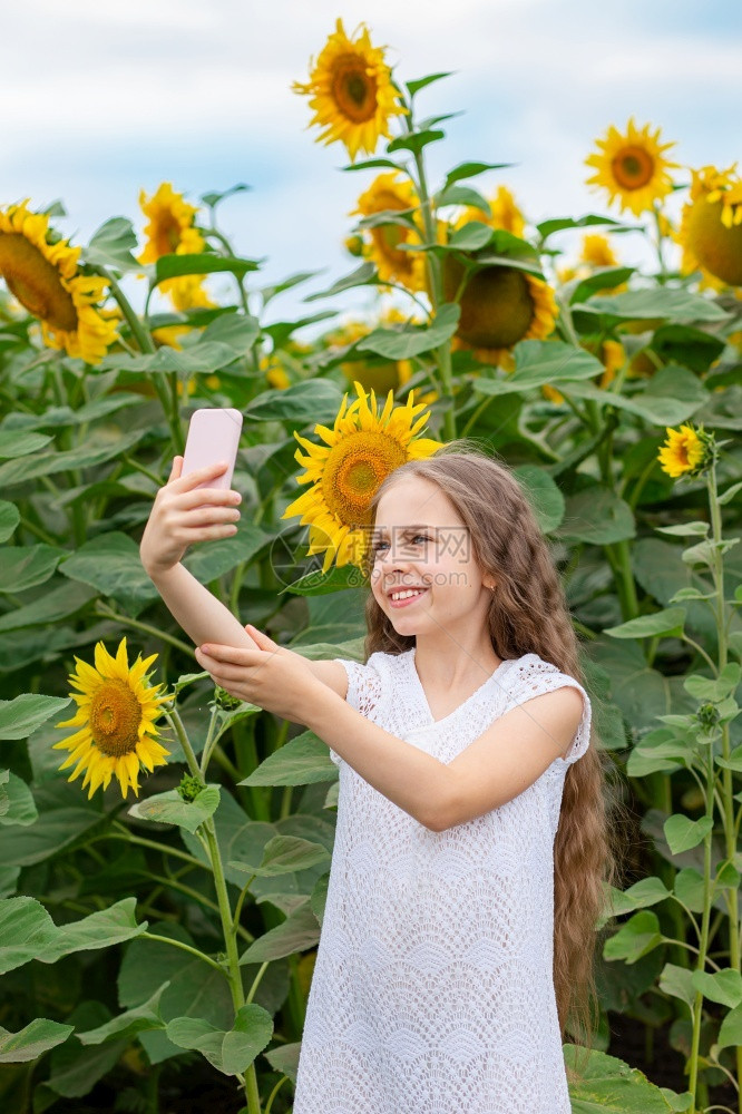 相机女孩在智能手上自拍脸带着微笑背景是一片向日葵肖像聪明的图片