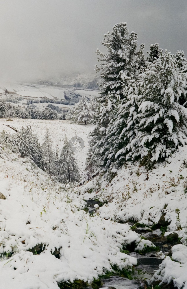 冬季雪景风光图片