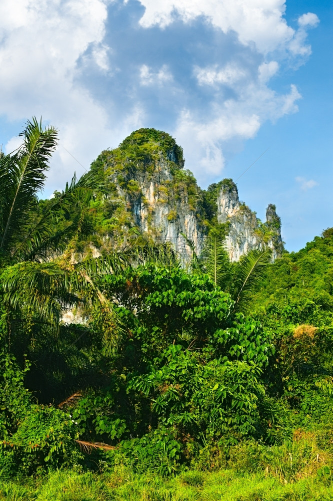 蓝色的天堂泰国Krabi山林绿树岩石图片