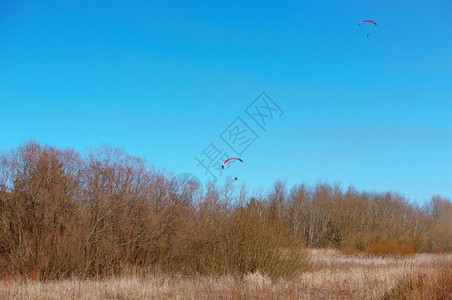 滑翔伞在森林上空两架滑翔伞在树上翱滑伞在森林上空活动跳树木图片