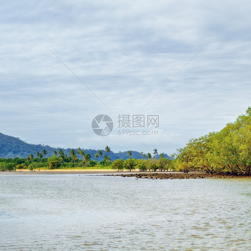 美丽的泰国风景海地貌有滩和绿棕榈树黄色的图片
