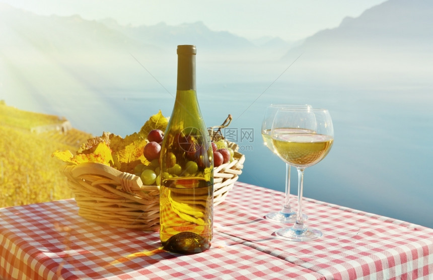 瑞士日内瓦湖的葡萄酒和争夺瑞士日内瓦湖束拉沃红色的图片