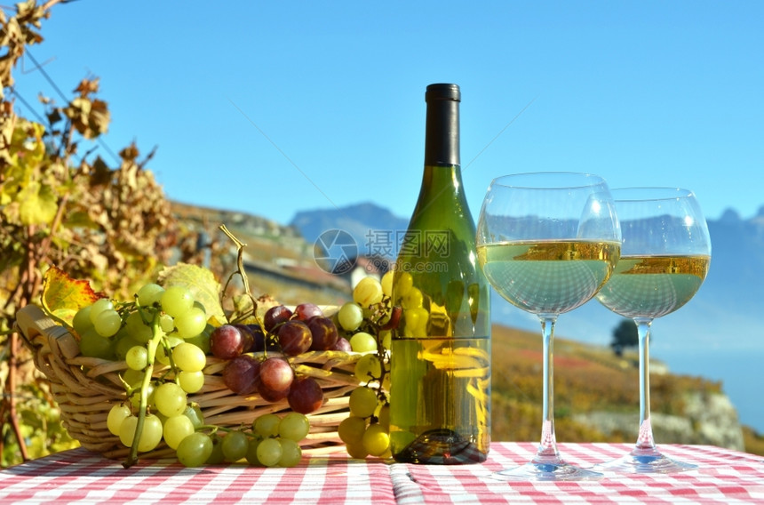 葡萄园阳台瑞士拉沃葡萄和酒栽培图片