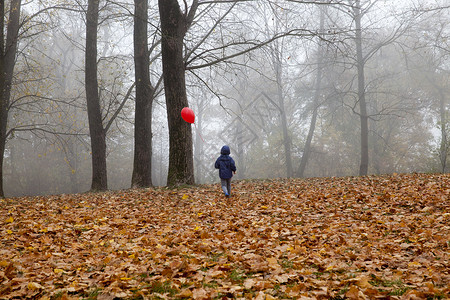 婴儿健康美丽的一个男孩带着红色气球走一个红边在消沉的秋天公园里放松阴暗的天气忧郁心情背景