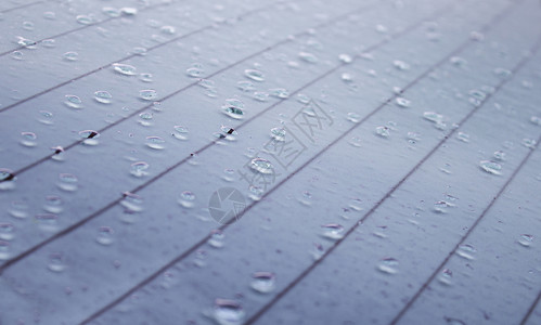 照片雨水和湿度寒冷冬季的地表湿细图下雨抽象的图片