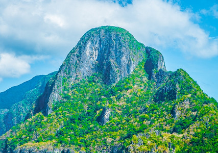 最佳夏月山绿色森林和蓝天空景观戏剧自然图片