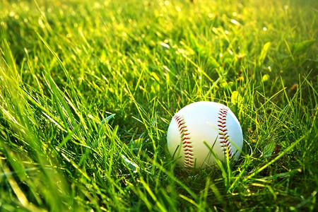 分数运动户外草地的棒球图片