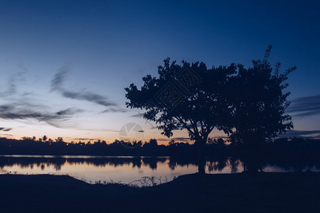 树晚上在河边的阳光明亮公园轮廓图片