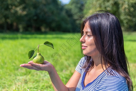 夏天哥伦比亚妇女在果园外面手边看梨子的哥伦比亚妇女乡村的抓住图片