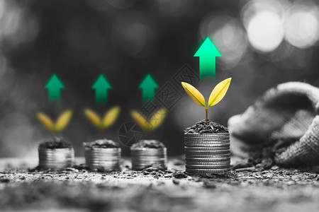 货币农业硬堆叠在顶端的绿色技术图标金融增长概念中现金背景图片