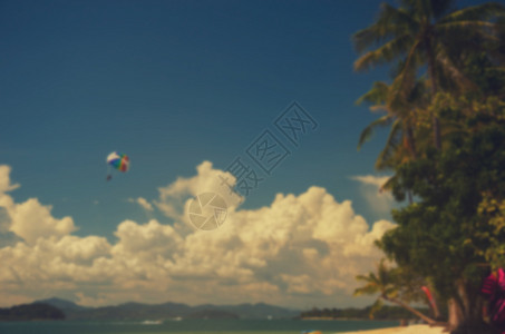 景观模糊摘要背海边和滩美丽的椰子树可用于显示文调复制间距热带图片