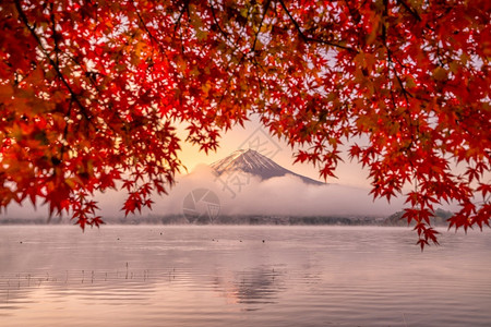 亚洲秋天在日本川口江湖的藤田山带红树叶日出十一月图片