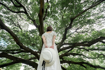 树下身穿白裙子女人图片