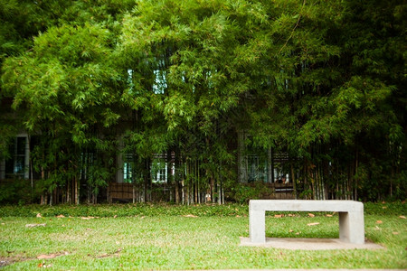 人行道园景安详公内绿草坪的座椅和竹子主席图片