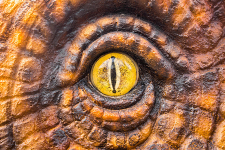 盯着建造新月恐龙猎人用可怕的黄眼瞪着图片