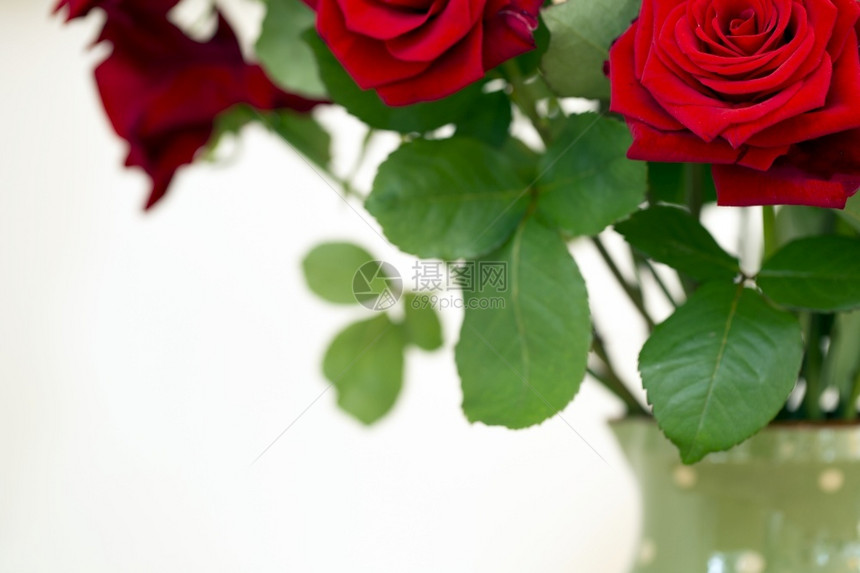 束庆典在温馨的家中情人会概念是把美丽红玫瑰放在绿色的花瓶里在舒适的家充满多彩背景的绿花瓶里情人会的概念是紧盛开图片
