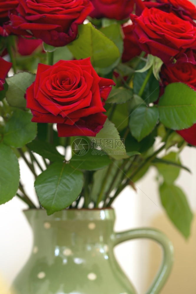 自然丰富多彩的在温馨家中情人会概念是把美丽红玫瑰放在绿色的花瓶里在舒适的家充满多彩背景的绿花瓶里情人会的概念是紧边界图片