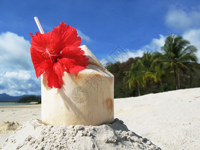 马来西亚兰卡维岛海滩的椰子鸡尾酒旅行新鲜的红色图片