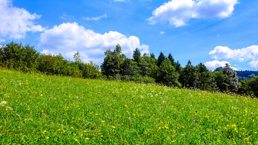 乡村的古时山地景观在阳光明媚的一天在蓝和云彩的背景下开花草地一种风景优美图片