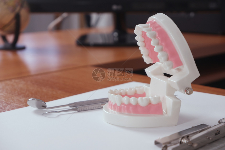 办公室桌上的牙齿模型图片