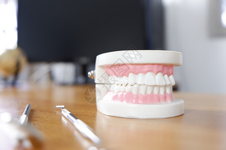 办公室桌上的假牙模型图片