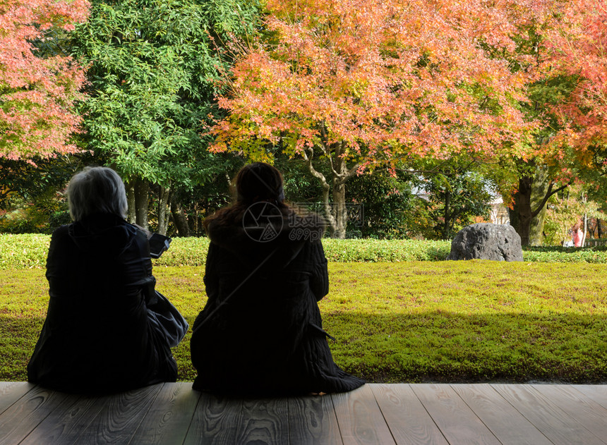 两位日本女欣赏秋天的美景在日本京都的一个庭院花园中青春的绿树叶子场景地面图片