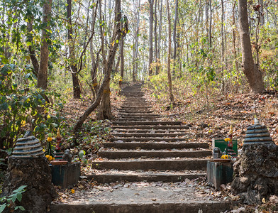 建筑学树木天高山寺庙入口处附近的石层楼梯在高山上图片