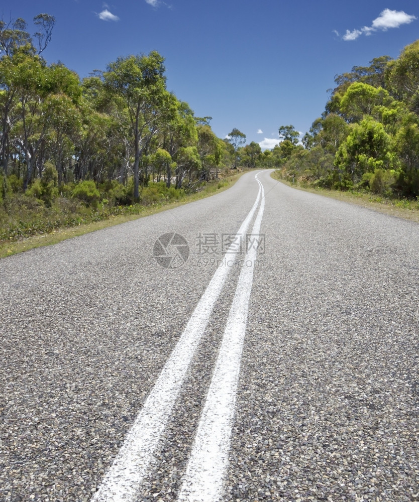 棕榈澳大利亚道路的一幅形象勘探岛图片