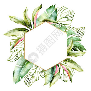 水彩叶子森林优雅的带有黄金和绿色棕榈叶的图案框架用于喜悦壁纸时装背景与复制空间隔开的彩礼固定式问候背景卡片现代的设计图片