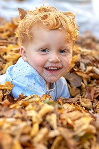 婴儿人们快乐的小红发男孩肖像躺在多彩秋叶的中间微红图片