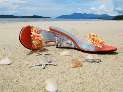 沙滩上的女士凉鞋和贝壳图片