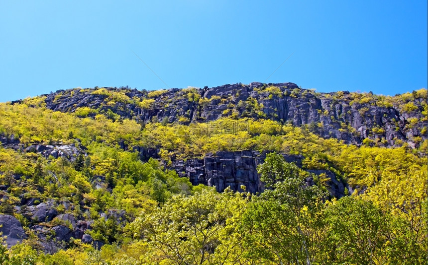 缅因州大西洋海岸阿卡迪亚公园的景象山奥尔洛夫旅游图片