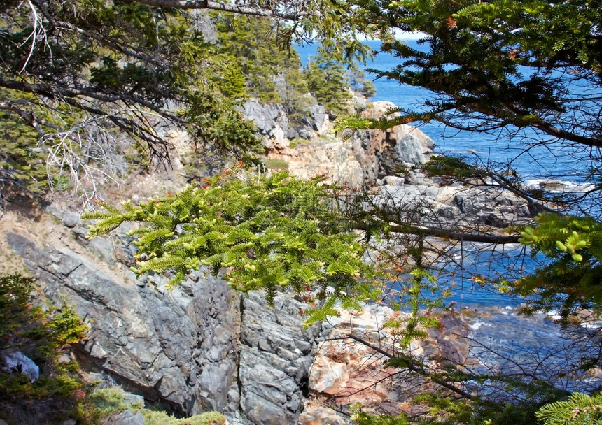 浪潮云奥尔洛夫缅因州大西洋海岸阿卡迪亚公园的景象图片