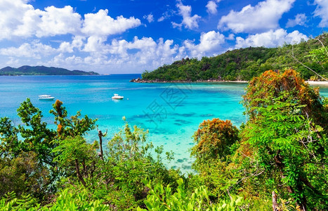 海景田园诗般的独特马埃岛热带自然景观马赫岛背景图片